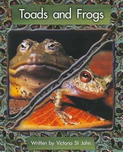 Toads and frogs: - John, Victoria St
