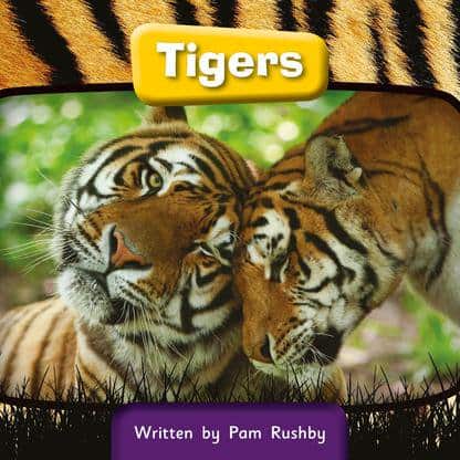 Tigers: - Rushby, Pam